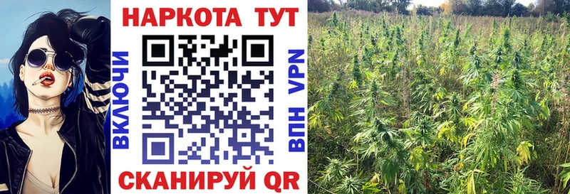 Наркошоп купить КОКАИН  Марихуана  A PVP  ГАШИШ  МЕФ  Баймак