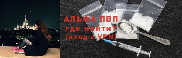 гашик Инта