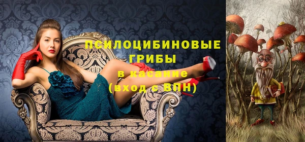 прущие крисы Инсар