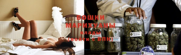 гашик Инта
