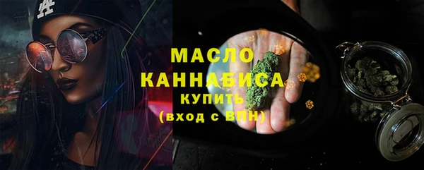 гашик Инта