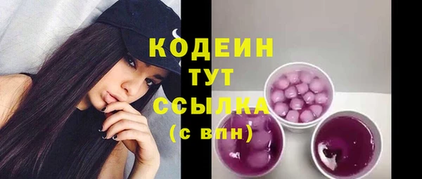 гашик Инта
