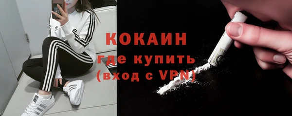 гашик Инта