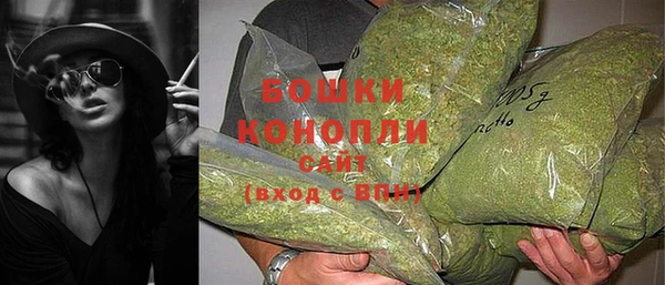 гашик Инта