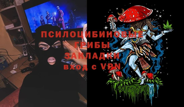 гидропоника Новодвинск