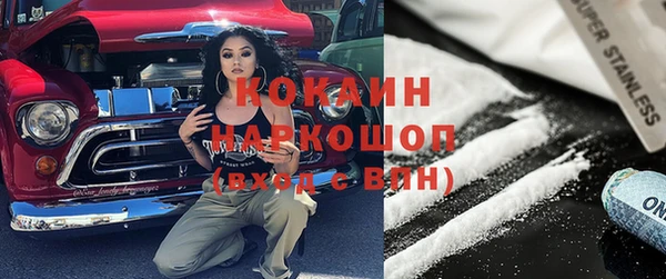 гашик Инта