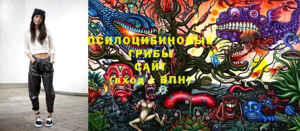 прущие крисы Инсар