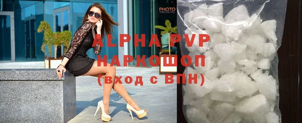 гашик Инта